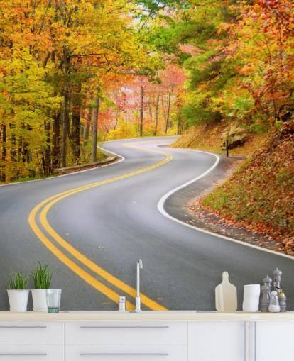 Carta da parati stradale che attraversa l'autunno