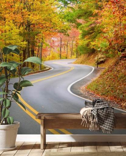 Fondo de pantalla de carretera corriendo por otoño