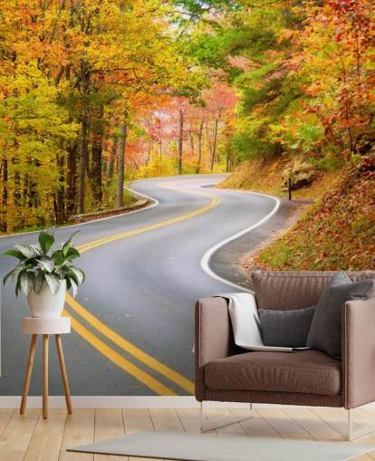 Fondo de pantalla de carretera corriendo por otoño