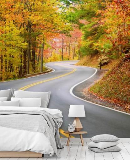 Fondo de pantalla de carretera corriendo por otoño