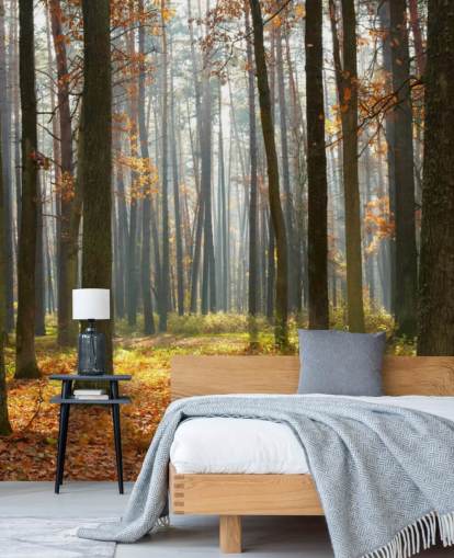 carta da parati murale personalizzabile con boschi chiamata Autumn Forest per uffici, salotti e bagni