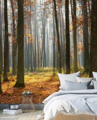 aanpasbare bosbehangmuurschildering genaamd Autumn Forest voor kantoren, woonkamers en badkamers aanpasbare bosbehangmuurschildering genaamd Autumn Forest voor kantoren, woonkamers en badkamers