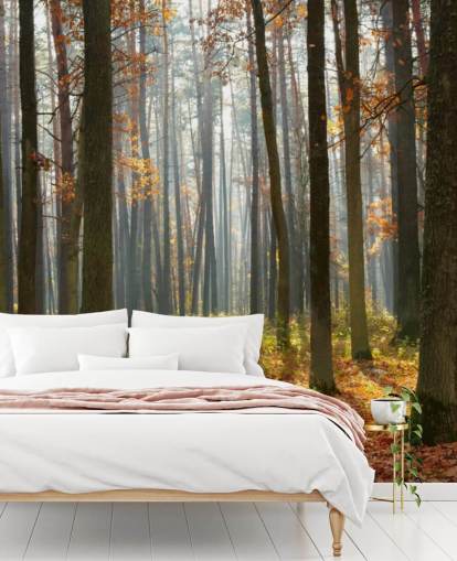 customisable woodland wallpaper mural called Autumn Forest for offices, living rooms and bathrooms