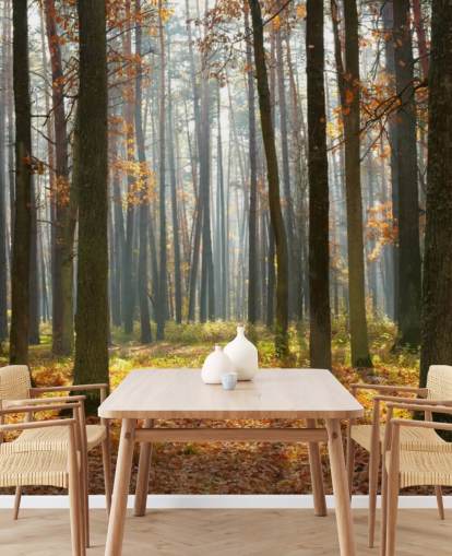 customizable woodland wallpaper mural called Autumn Forest for offices, living rooms and bathrooms
