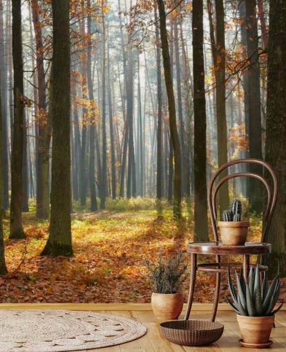 customizable woodland wallpaper mural called Autumn Forest for offices, living rooms and bathrooms