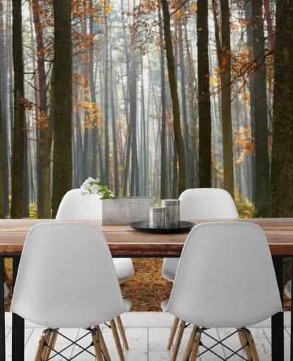 anpassningsbar skogstapetväggmålning kallad Autumn Forest för kontor, vardagsrum och badrum