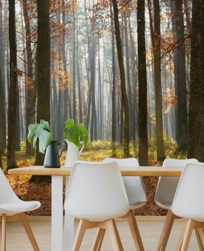 mural de papel pintado de bosque personalizable llamado Autumn Forest para oficinas, salas de estar y baños
