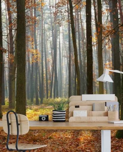 tilpasselig skovtapet vægmaleri kaldet Autumn Forest til kontorer, stuer og badeværelser