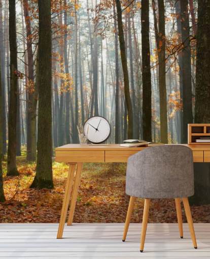 mural de papel de parede florestal personalizável chamado Autumn Forest para escritórios, salas de estar e banheiros