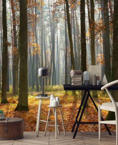 mural de papel pintado de bosque personalizable llamado Autumn Forest para oficinas, salas de estar y baños