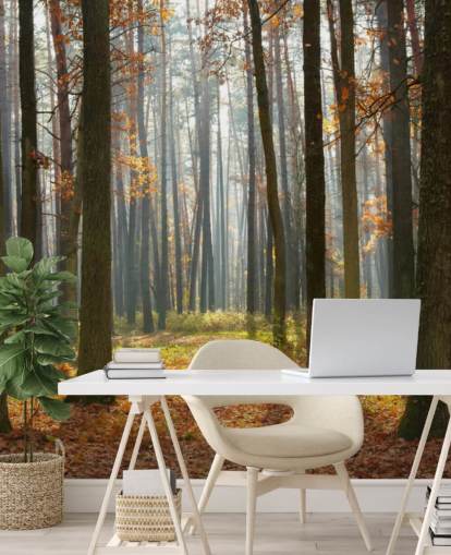 customizable woodland wallpaper mural called Autumn Forest for offices, living rooms and bathrooms