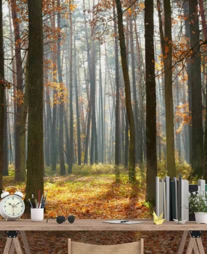mural de papel pintado de bosque personalizable llamado Autumn Forest para oficinas, salas de estar y baños