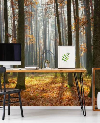 customisable woodland wallpaper mural called Autumn Forest for offices, living rooms and bathrooms