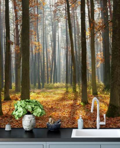 customisable woodland wallpaper mural called Autumn Forest for offices, living rooms and bathrooms customisable woodland wallpaper mural called Autumn Forest for offices, living rooms and bathrooms