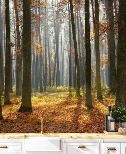 mural de papel pintado de bosque personalizable llamado Autumn Forest para oficinas, salas de estar y baños