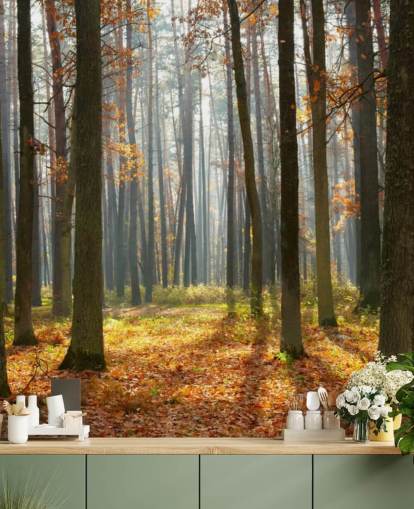customisable woodland wallpaper mural called Autumn Forest for offices, living rooms and bathrooms