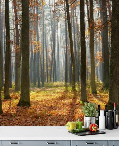 tilpassbart skogstapetveggmaleri kalt Autumn Forest for kontorer, stuer og bad