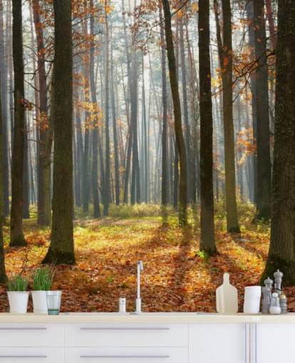 customizable woodland wallpaper mural called Autumn Forest for offices, living rooms and bathrooms
