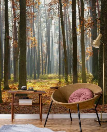 mural de papel de parede florestal personalizável chamado Autumn Forest para escritórios, salas de estar e banheiros