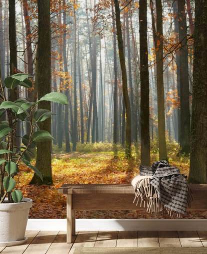 mural de papel pintado de bosque personalizable llamado Autumn Forest para oficinas, salas de estar y baños mural de papel pintado de bosque personalizable llamado Autumn Forest para oficinas, salas de estar y baños