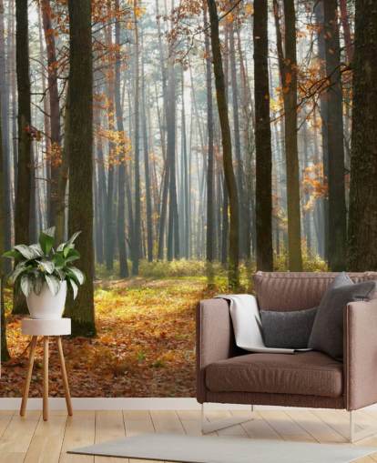 anpassningsbar skogstapetväggmålning kallad Autumn Forest för kontor, vardagsrum och badrum
