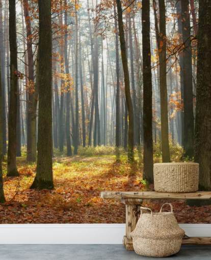 aanpasbare bosbehangmuurschildering genaamd Autumn Forest voor kantoren, woonkamers en badkamers