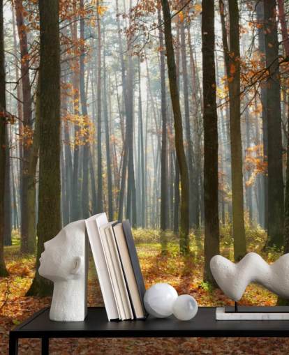 mural de papel pintado de bosque personalizable llamado Autumn Forest para oficinas, salas de estar y baños mural de papel pintado de bosque personalizable llamado Autumn Forest para oficinas, salas de estar y baños
