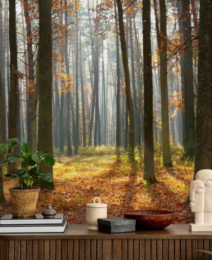 mural de papel pintado de bosque personalizable llamado Autumn Forest para oficinas, salas de estar y baños