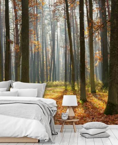 customizable woodland wallpaper mural called Autumn Forest for offices, living rooms and bathrooms
