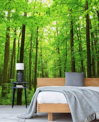 green customizable forest wallpaper mural called Green Forest for offices, bedrooms and businesses green customizable forest wallpaper mural called Green Forest for offices, bedrooms and businesses