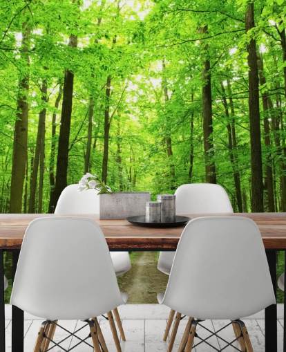 grön anpassningsbar skogstapetväggmålning kallad Green Forest för kontor, sovrum och företag