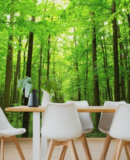 papier peint mural vert personnalisable appelé Green Forest pour les bureaux, les chambres et les entreprises