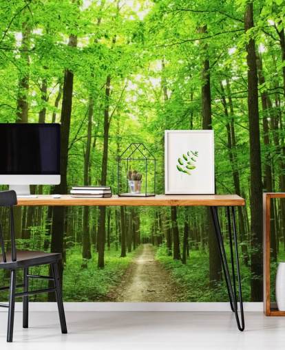 grön anpassningsbar skogstapetväggmålning kallad Green Forest för kontor, sovrum och företag