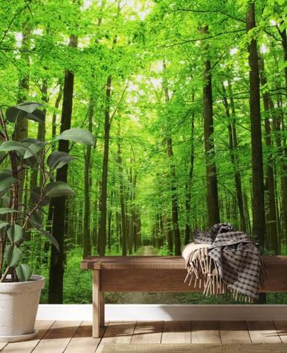 green customisable forest wallpaper mural called Green Forest for offices, bedrooms and businesses