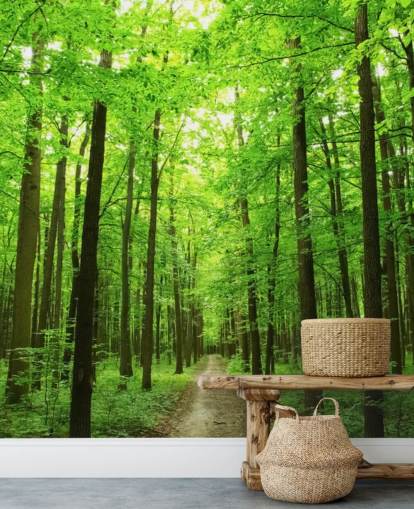 Forest Wall Mural Forest Wall Mural