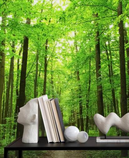 carta da parati murale verde personalizzabile chiamata Green Forest per uffici, camere da letto e aziende