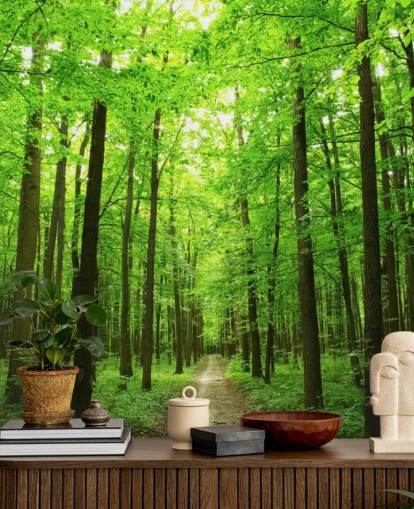 grønt tilpasseligt skovtapet vægmaleri kaldet Green Forest til kontorer, soveværelser og virksomheder