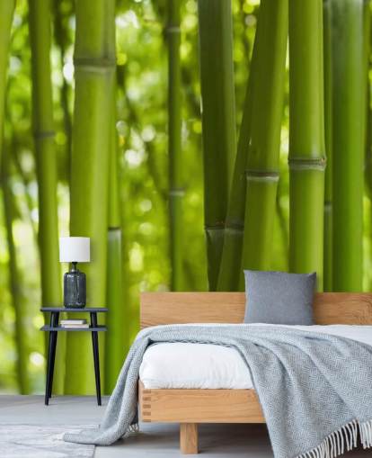 Close Up of Bamboo in Bamboo Forest Wallpaper