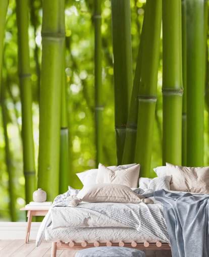 Close Up of Bamboo in Bamboo Forest Wallpaper