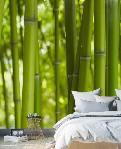 Lähikuva Bambu Bamboo Forest Taustakuva