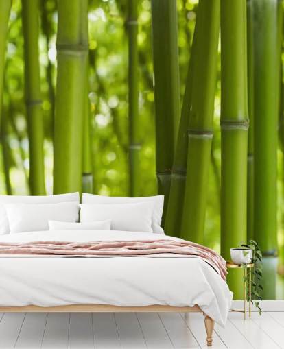 Lähikuva Bambu Bamboo Forest Taustakuva Lähikuva Bambu Bamboo Forest Taustakuva