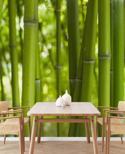 Close Up of Bamboo in Bamboo Forest Wallpaper Close Up of Bamboo in Bamboo Forest Wallpaper