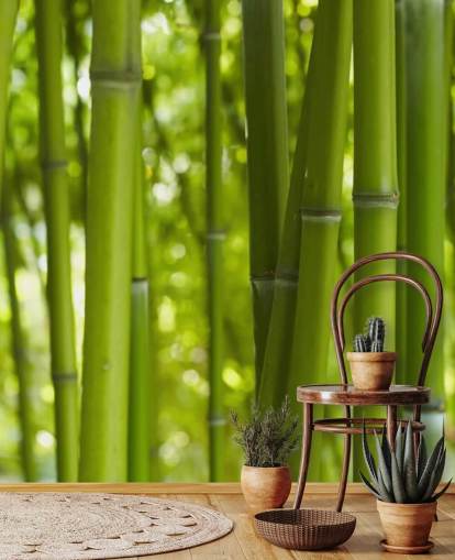 Lähikuva Bambu Bamboo Forest Taustakuva