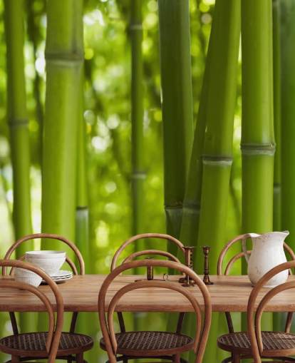 Close Up of Bamboo in Bamboo Forest Wallpaper