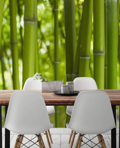 Close Up of Bamboo in Bamboo Forest Wallpaper Close Up of Bamboo in Bamboo Forest Wallpaper