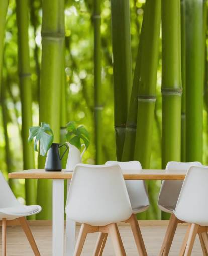 Nærbillede af bambus i Bambus Forest Baggrund