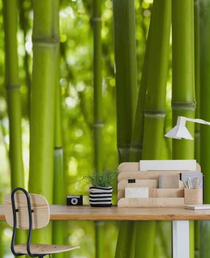Close Up of Bamboo in Bamboo Forest Wallpaper