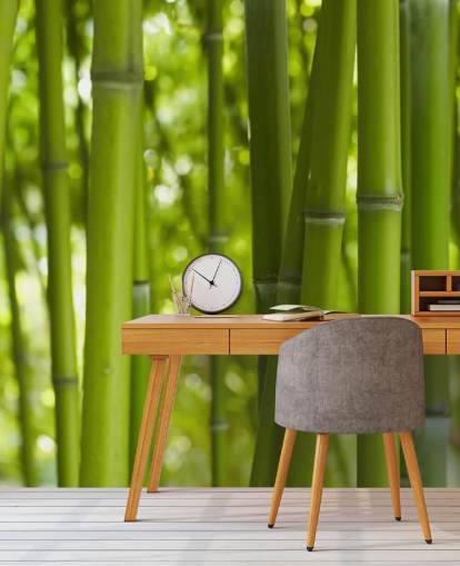 Close Up of Bamboo in Bamboo Forest Wallpaper