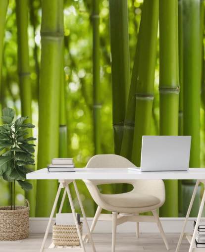 Close Up of Bamboo in Bamboo Forest Wallpaper Close Up of Bamboo in Bamboo Forest Wallpaper