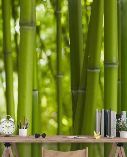 Close Up of Bamboo in Bamboo Forest Wallpaper